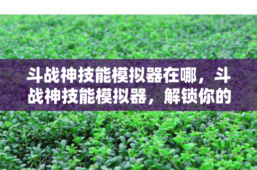 斗战神技能模拟器在哪,斗战神技能模拟器,解锁你的战斗潜能 斗战神技能模拟器在哪,斗战神技能模拟器,解锁你的战斗潜能
