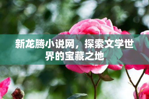 新龙腾小说网,探索文学世界的宝藏之地 新龙腾小说网,探索文学世界的宝藏之地