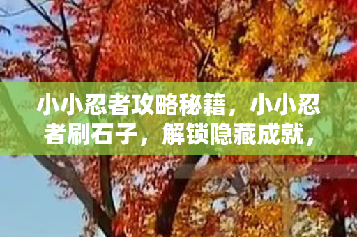小小忍者攻略秘籍,小小忍者刷石子,解锁隐藏成就,打造无敌忍者! 小小忍者攻略秘籍,小小忍者刷石子,解锁隐藏成就,打造无敌忍者!