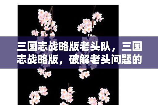 三国志战略版老头队,三国志战略版,破解老头问题的五大策略 三国志战略版老头队,三国志战略版,破解老头问题的五大策略