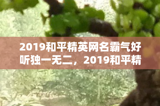 2019和平精英网名霸气好听独一无二,2019和平精英网名霸气好听 2019和平精英网名霸气好听独一无二,2019和平精英网名霸气好听