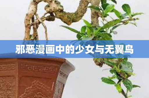 邪恶漫画中的少女与无翼鸟 邪恶漫画中的少女与无翼鸟
