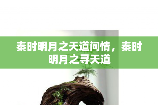 秦时明月之天道问情,秦时明月之寻天道 秦时明月之天道问情,秦时明月之寻天道