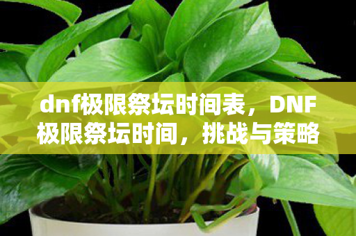 dnf极限祭坛时间表,DNF极限祭坛时间,挑战与策略 dnf极限祭坛时间表,DNF极限祭坛时间,挑战与策略