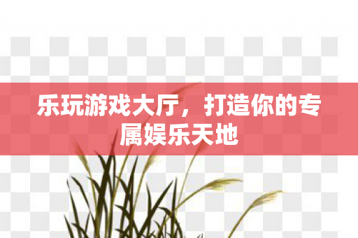 乐玩游戏大厅,打造你的专属娱乐天地 乐玩游戏大厅,打造你的专属娱乐天地