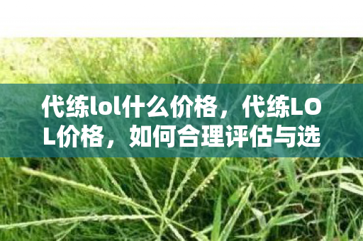 代练lol什么价格,代练LOL价格,如何合理评估与选择 代练lol什么价格,代练LOL价格,如何合理评估与选择