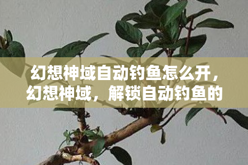 幻想神域自动钓鱼怎么开,幻想神域,解锁自动钓鱼的奥秘 幻想神域自动钓鱼怎么开,幻想神域,解锁自动钓鱼的奥秘