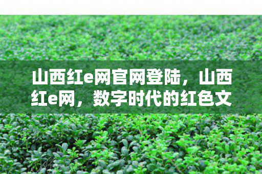 山西红e网官网登陆,山西红e网,数字时代的红色文化新阵地 山西红e网官网登陆,山西红e网,数字时代的红色文化新阵地