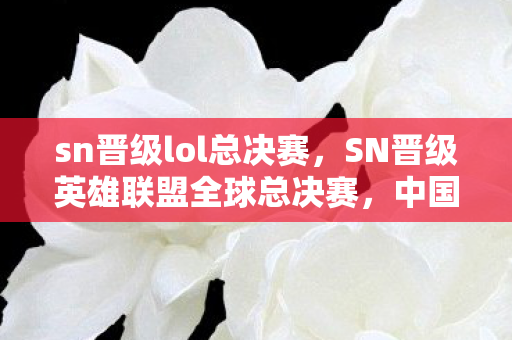 sn晋级lol总决赛,SN晋级英雄联盟全球总决赛,中国电竞的荣耀时刻 sn晋级lol总决赛,SN晋级英雄联盟全球总决赛,中国电竞的荣耀时刻