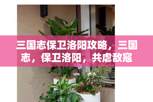三国志保卫洛阳攻略,三国志,保卫洛阳,共虐敌寇 三国志保卫洛阳攻略,三国志,保卫洛阳,共虐敌寇