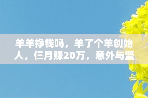 羊羊挣钱吗,羊了个羊创始人,仨月赚20万,意外与坚持的创业故事 羊羊挣钱吗,羊了个羊创始人,仨月赚20万,意外与坚持的创业故事