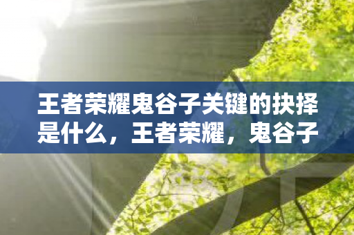 王者荣耀鬼谷子关键的抉择是什么,王者荣耀,鬼谷子关键的抉择 王者荣耀鬼谷子关键的抉择是什么,王者荣耀,鬼谷子关键的抉择