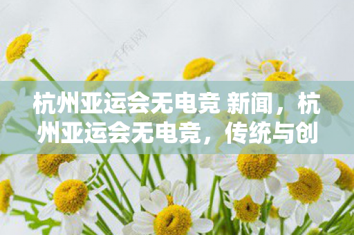 杭州亚运会无电竞 新闻,杭州亚运会无电竞,传统与创新的碰撞 杭州亚运会无电竞 新闻,杭州亚运会无电竞,传统与创新的碰撞