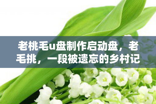 老桃毛u盘制作启动盘,老毛挑,一段被遗忘的乡村记忆 老桃毛u盘制作启动盘,老毛挑,一段被遗忘的乡村记忆