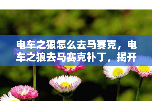 电车之狼怎么去马赛克，电车之狼去马赛克补丁，揭开虚拟世界的面纱