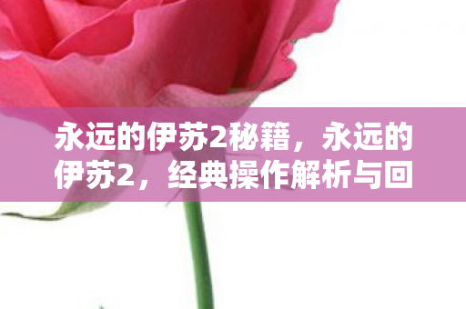 永远的伊苏2秘籍,永远的伊苏2,经典操作解析与回忆 永远的伊苏2秘籍,永远的伊苏2,经典操作解析与回忆