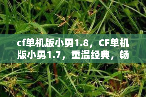 cf单机版小勇1.8，CF单机版小勇1.7，重温经典，畅享枪战乐趣