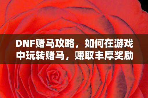 DNF赌马攻略，如何在游戏中玩转赌马，赚取丰厚奖励