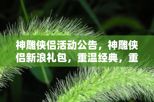 神雕侠侣活动公告,神雕侠侣新浪礼包,重温经典,重温武侠梦 神雕侠侣活动公告,神雕侠侣新浪礼包,重温经典,重温武侠梦