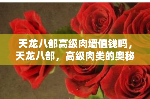 天龙八部高级肉墙值钱吗,天龙八部,高级肉类的奥秘与魅力 天龙八部高级肉墙值钱吗,天龙八部,高级肉类的奥秘与魅力