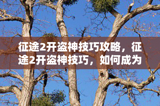 征途2开盗神技巧攻略,征途2开盗神技巧,如何成为顶级盗贼 征途2开盗神技巧攻略,征途2开盗神技巧,如何成为顶级盗贼