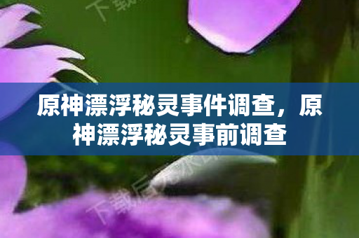 原神漂浮秘灵事件调查，原神漂浮秘灵事前调查