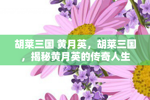 胡莱三国 黄月英,胡莱三国,揭秘黄月英的传奇人生 胡莱三国 黄月英,胡莱三国,揭秘黄月英的传奇人生