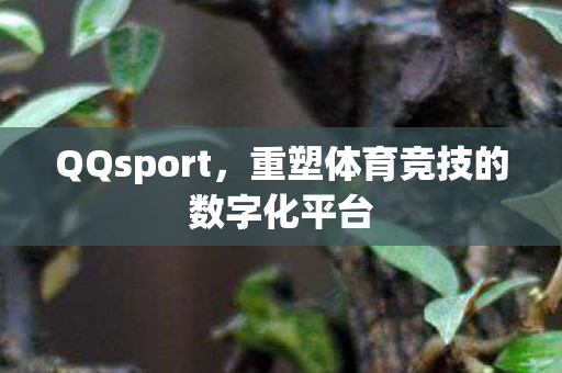 QQsport,重塑体育竞技的数字化平台 QQsport,重塑体育竞技的数字化平台
