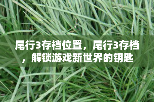 尾行3存档位置,尾行3存档,解锁游戏新世界的钥匙 尾行3存档位置,尾行3存档,解锁游戏新世界的钥匙