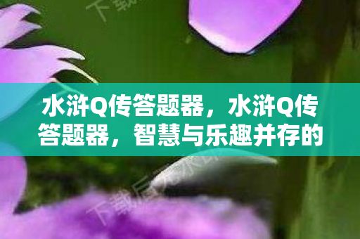 水浒Q传答题器,水浒Q传答题器,智慧与乐趣并存的答题挑战 水浒Q传答题器,水浒Q传答题器,智慧与乐趣并存的答题挑战