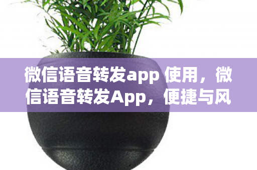 微信语音转发app 使用,微信语音转发App,便捷与风险并存的新工具 微信语音转发app 使用,微信语音转发App,便捷与风险并存的新工具