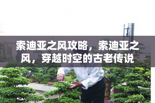 索迪亚之风攻略,索迪亚之风,穿越时空的古老传说 索迪亚之风攻略,索迪亚之风,穿越时空的古老传说