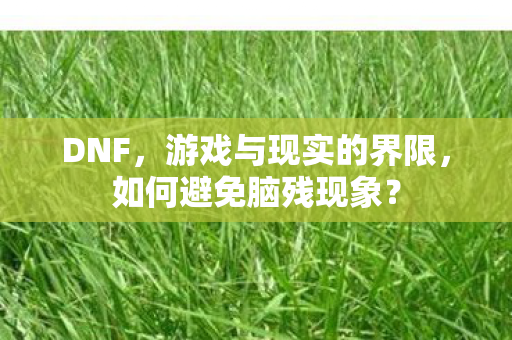 DNF,游戏与现实的界限,如何避免脑残现象? DNF,游戏与现实的界限,如何避免脑残现象?