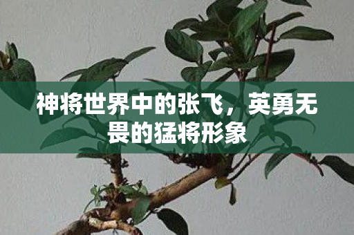 神将世界中的张飞,英勇无畏的猛将形象 神将世界中的张飞,英勇无畏的猛将形象
