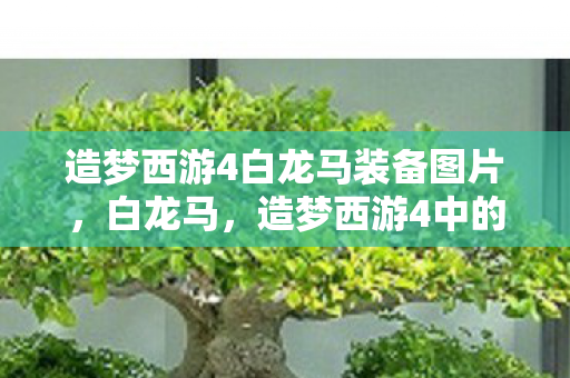 造梦西游4白龙马装备图片,白龙马,造梦西游4中的神秘存在 造梦西游4白龙马装备图片,白龙马,造梦西游4中的神秘存在