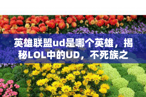 英雄联盟ud是哪个英雄,揭秘LOL中的UD,不死族之王 英雄联盟ud是哪个英雄,揭秘LOL中的UD,不死族之王