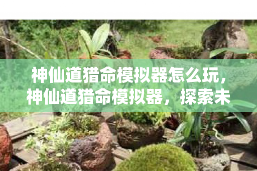 神仙道猎命模拟器怎么玩,神仙道猎命模拟器,探索未知,挑战极限 神仙道猎命模拟器怎么玩,神仙道猎命模拟器,探索未知,挑战极限