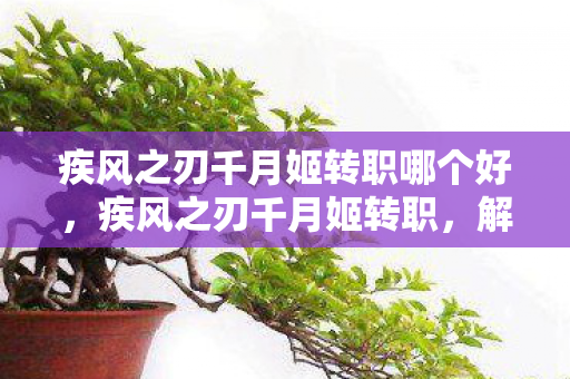 疾风之刃千月姬转职哪个好,疾风之刃千月姬转职,解锁新角色,挑战新境界 疾风之刃千月姬转职哪个好,疾风之刃千月姬转职,解锁新角色,挑战新境界