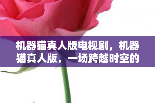 机器猫真人版电视剧，机器猫真人版，一场跨越时空的奇幻之旅
