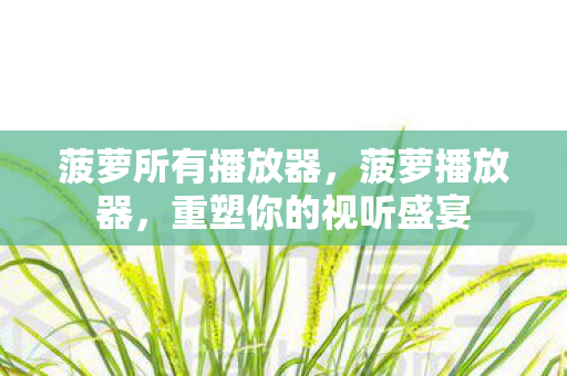 菠萝所有播放器,菠萝播放器,重塑你的视听盛宴 菠萝所有播放器,菠萝播放器,重塑你的视听盛宴