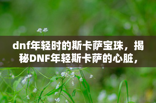 dnf年轻时的斯卡萨宝珠,揭秘DNF年轻斯卡萨的心脏,隐藏在游戏深处的神秘宝藏 dnf年轻时的斯卡萨宝珠,揭秘DNF年轻斯卡萨的心脏,隐藏在游戏深处的神秘宝藏