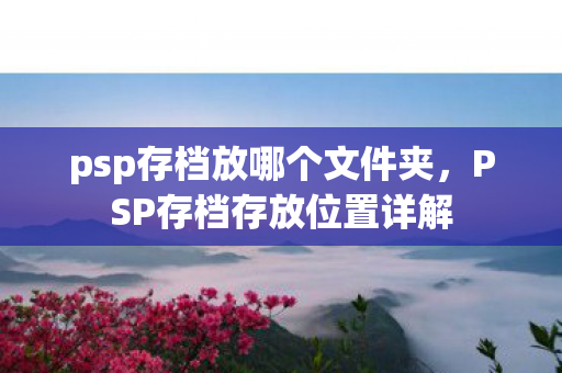 psp存档放哪个文件夹,PSP存档存放位置详解 psp存档放哪个文件夹,PSP存档存放位置详解