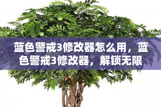 蓝色警戒3修改器怎么用,蓝色警戒3修改器,解锁无限可能的游戏体验 蓝色警戒3修改器怎么用,蓝色警戒3修改器,解锁无限可能的游戏体验