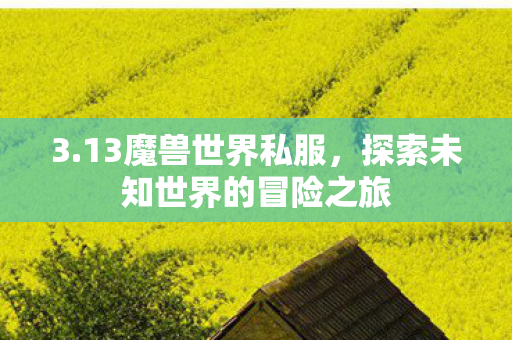 3.13魔兽世界私服，探索未知世界的冒险之旅