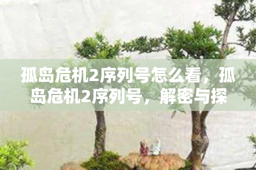 孤岛危机2序列号怎么看，孤岛危机2序列号，解密与探讨