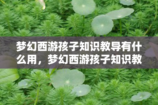 梦幻西游孩子知识教导有什么用,梦幻西游孩子知识教导全解析 梦幻西游孩子知识教导有什么用,梦幻西游孩子知识教导全解析