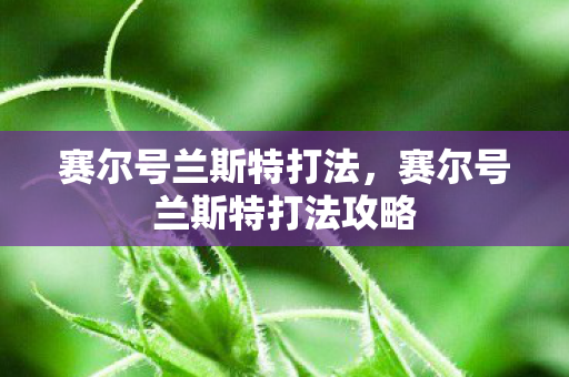 赛尔号兰斯特打法，赛尔号兰斯特打法攻略