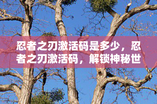 忍者之刃激活码是多少，忍者之刃激活码，解锁神秘世界的钥匙