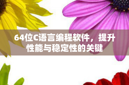 64位C语言编程软件,提升性能与稳定性的关键 64位C语言编程软件,提升性能与稳定性的关键