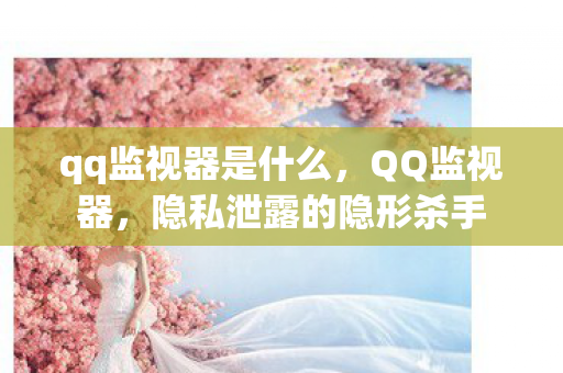 qq监视器是什么,QQ监视器,隐私泄露的隐形杀手 qq监视器是什么,QQ监视器,隐私泄露的隐形杀手